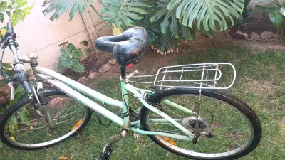 Bicicleta urbana con parrilla - miniatura 1