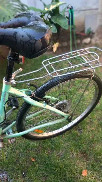 Bicicleta urbana con parrilla - miniatura 4