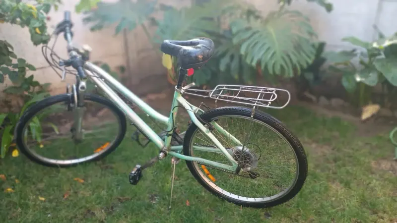 Bicicleta urbana con parrilla - 6