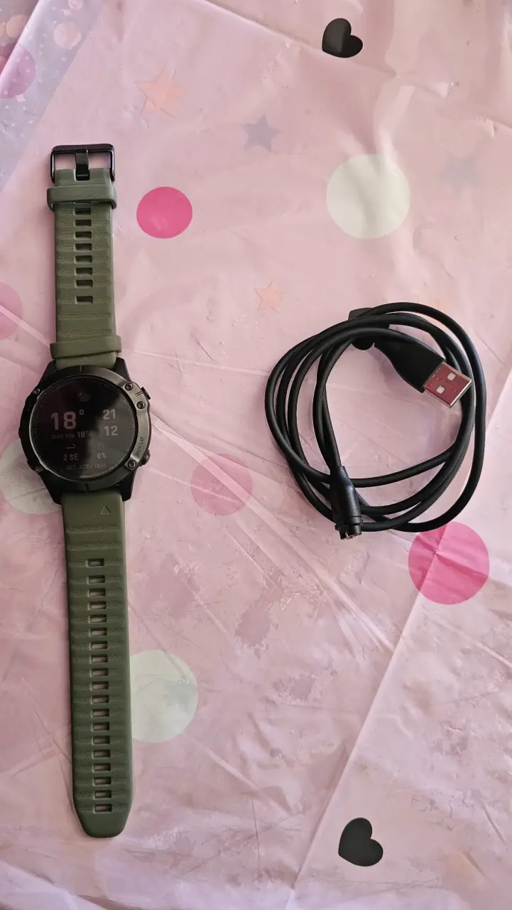 Smartwatch Garmin Fenix 6 Saphire - 1