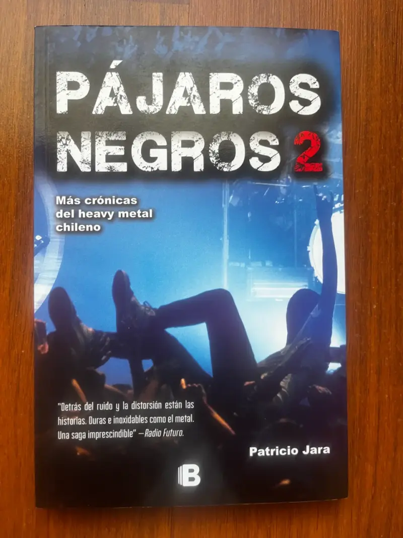 Libro Pájaros Negros 2
