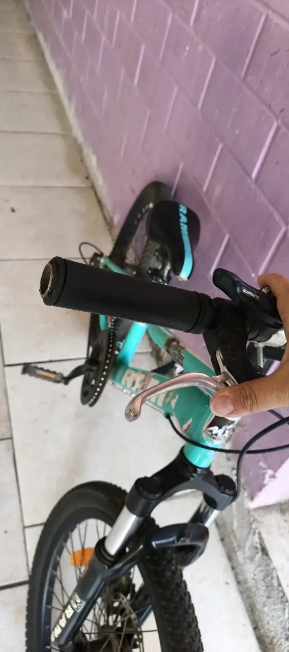 Bicicleta infantil Ram verde - 6