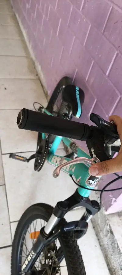 Bicicleta infantil Ram verde - miniatura 6