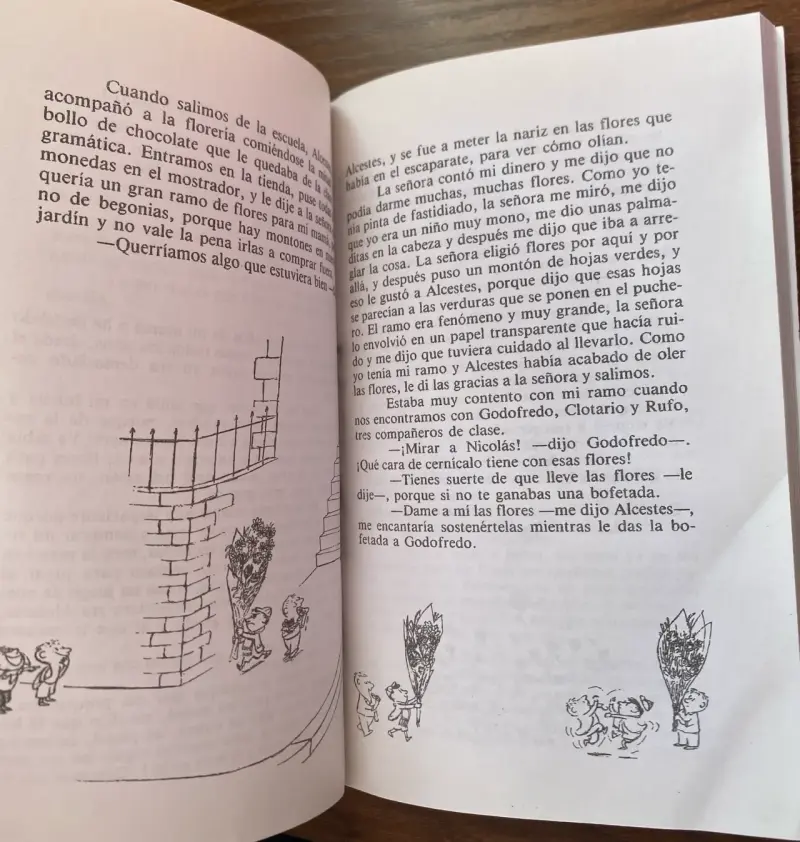 Libro ‘El pequeño Nicolás’ 📚 - 2
