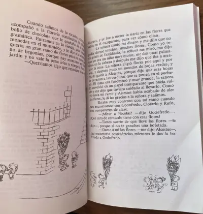 Libro ‘El pequeño Nicolás’ 📚 - miniatura 2
