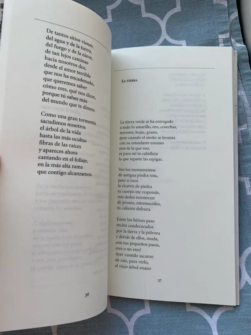 Libro 'Los versos del Capitán' de Neruda - 3