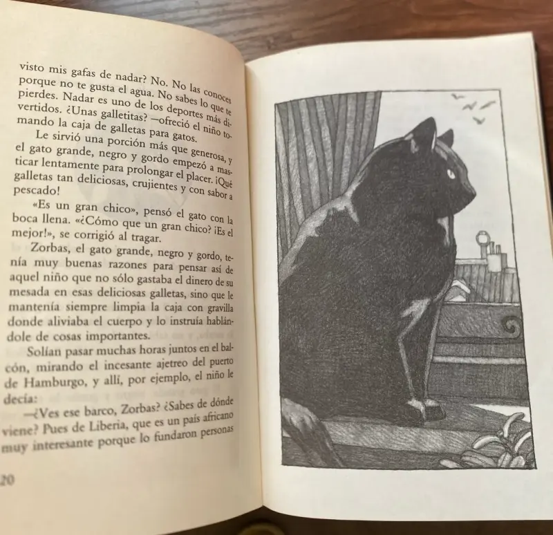 Libro ‘Historia de una Gaviota’ - 2