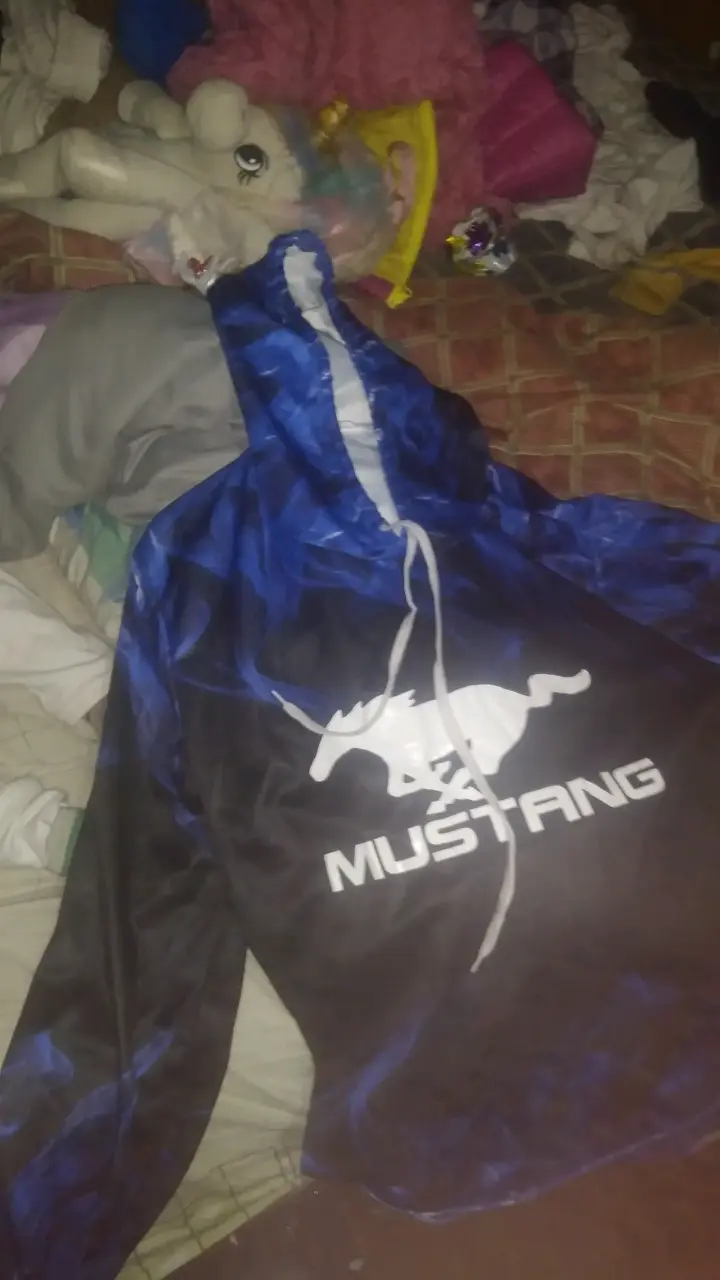 Polerón con capucha Mustangs - 2