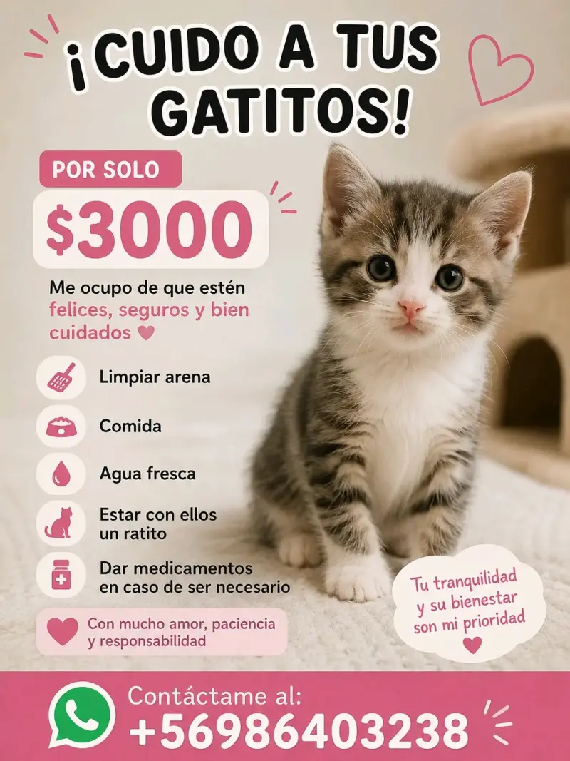 cuidado de gatitos