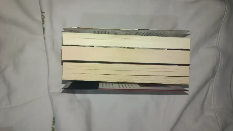 Trilogía de libros Alguien está mintiendo - 2