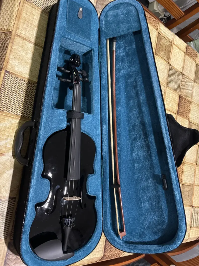 Violín negro con arco y estuche - 1
