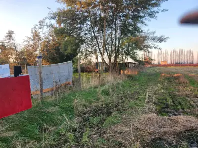 Venta de casa - miniatura 5