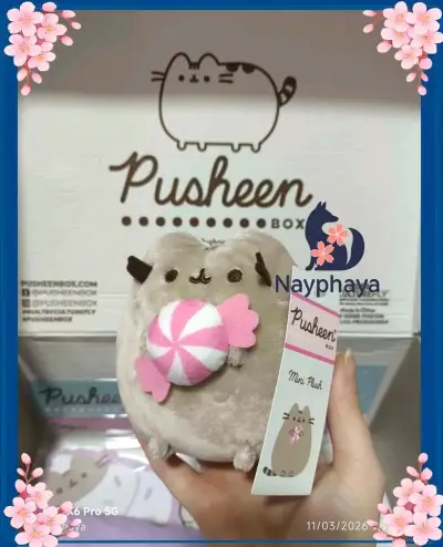 Peluche mini Pusheen con caramelo 🍬 - miniatura 1