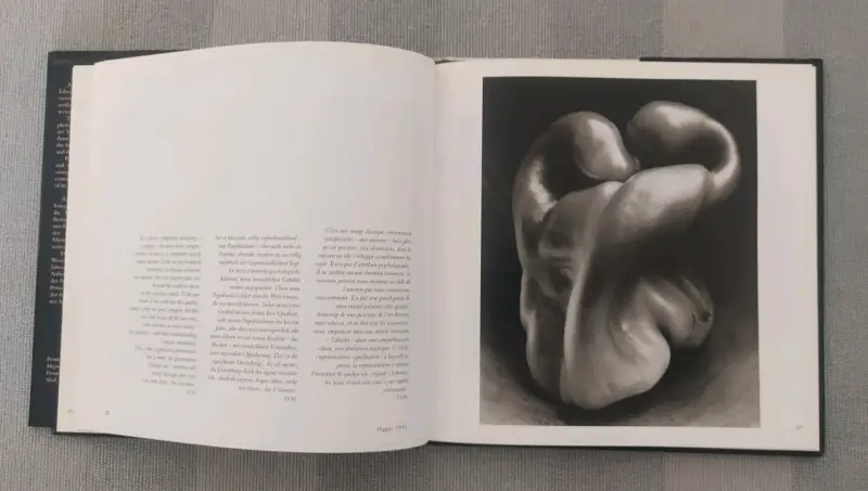 Libro 'Edward Weston' Fotografía - 2