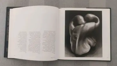 Libro 'Edward Weston' Fotografía - miniatura 2