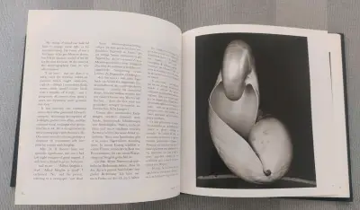 Libro 'Edward Weston' Fotografía - miniatura 4