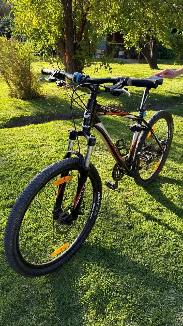Bicicleta montaña Giant negra