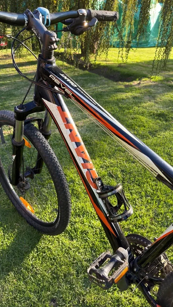 Bicicleta montaña Giant negra - 3