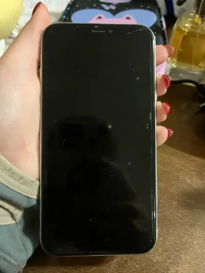 iPhone XR con batería al 100% - miniatura 6