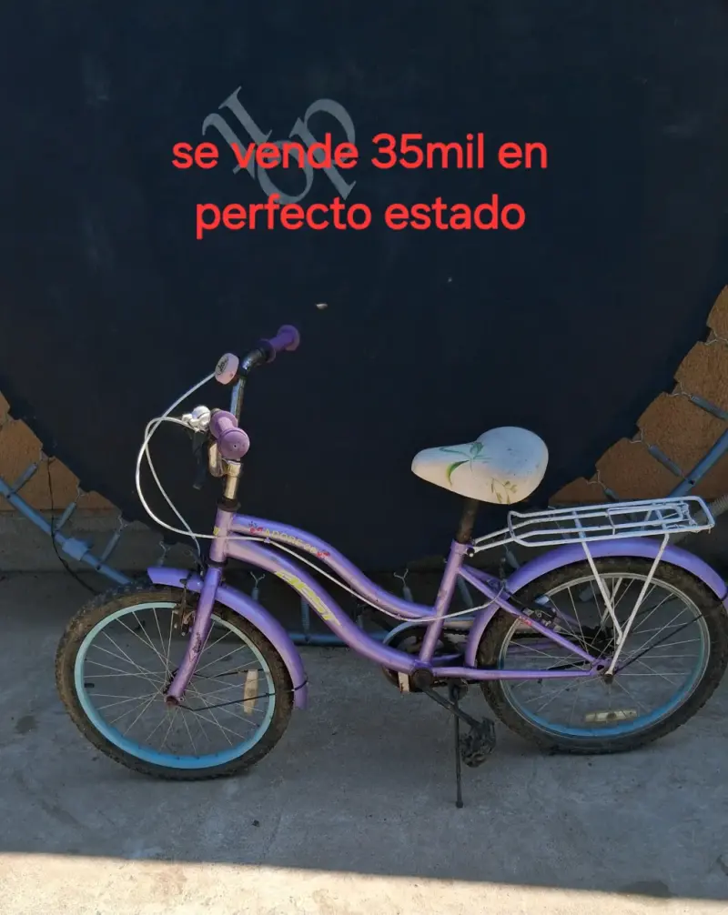 Bicicleta infantil morada