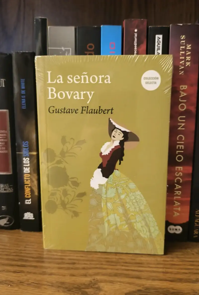 Libro 'La señora Bovary' Nuevo