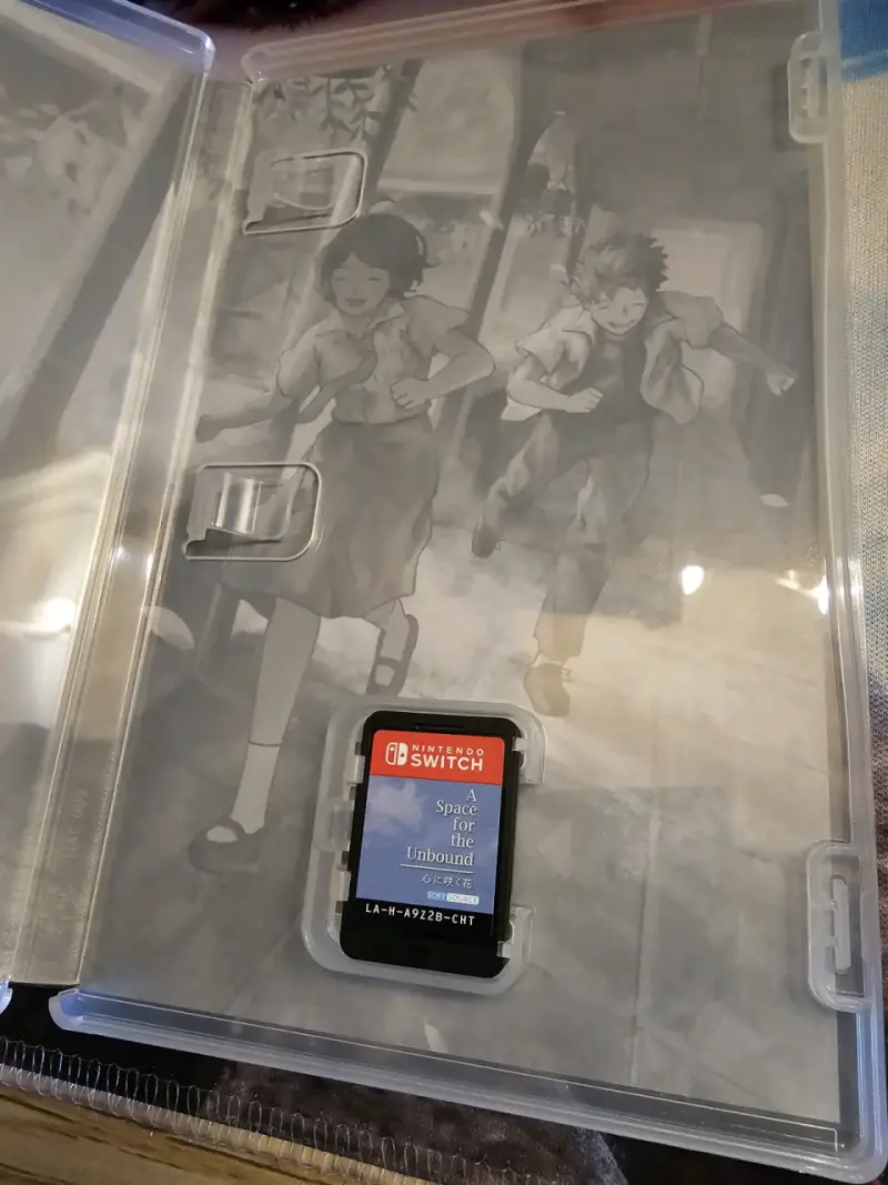A Space for the Unbound Nintendo Switch - 3