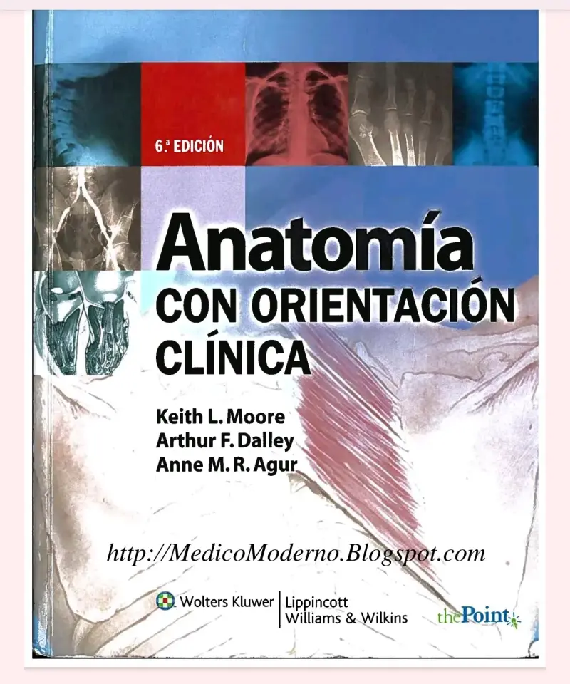 Libro Anatomía Clínica 6ª Edición !! Keith l moore - 1