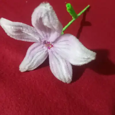 Flor decorativa de limpia pipa - miniatura 1