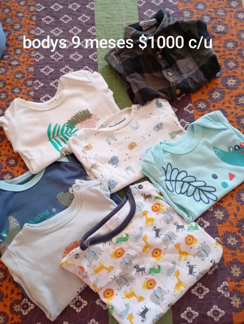 Lote de ropa 6-9 meses - 6