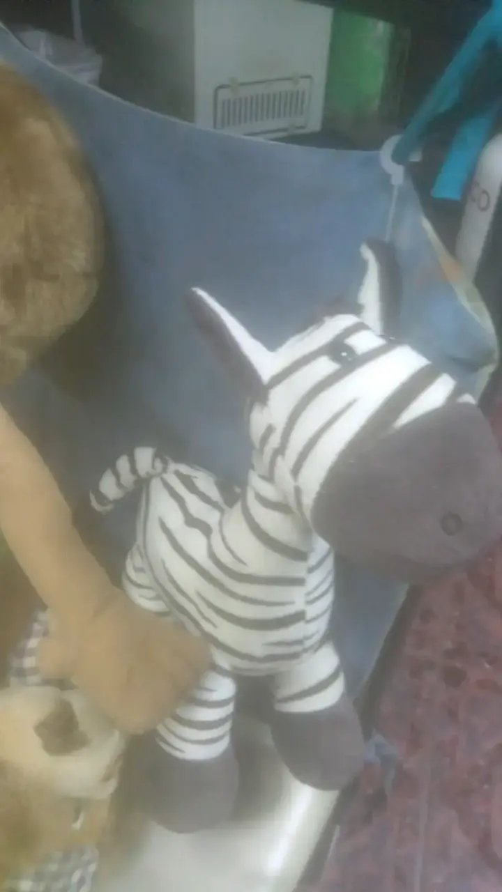 Peluches de león y leona y cebra - 5