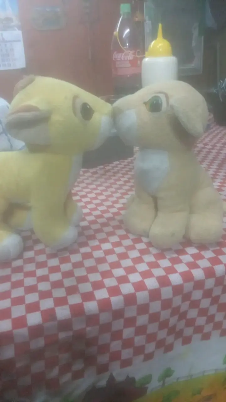 Peluches de león y leona y cebra - 6
