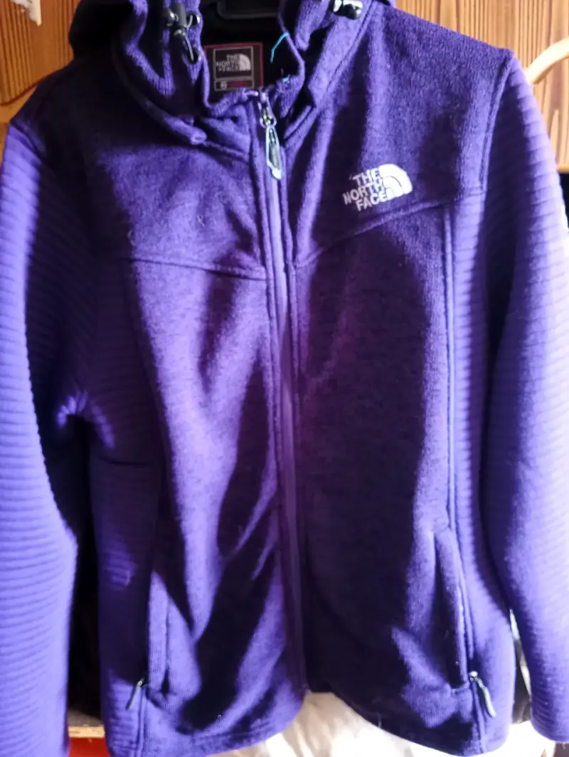 Chaqueta morada The North Face