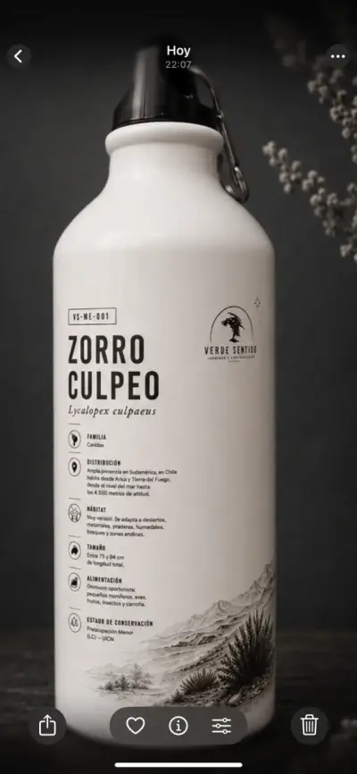 Botella Zorro Culpeo Verde Sentido - miniatura 2