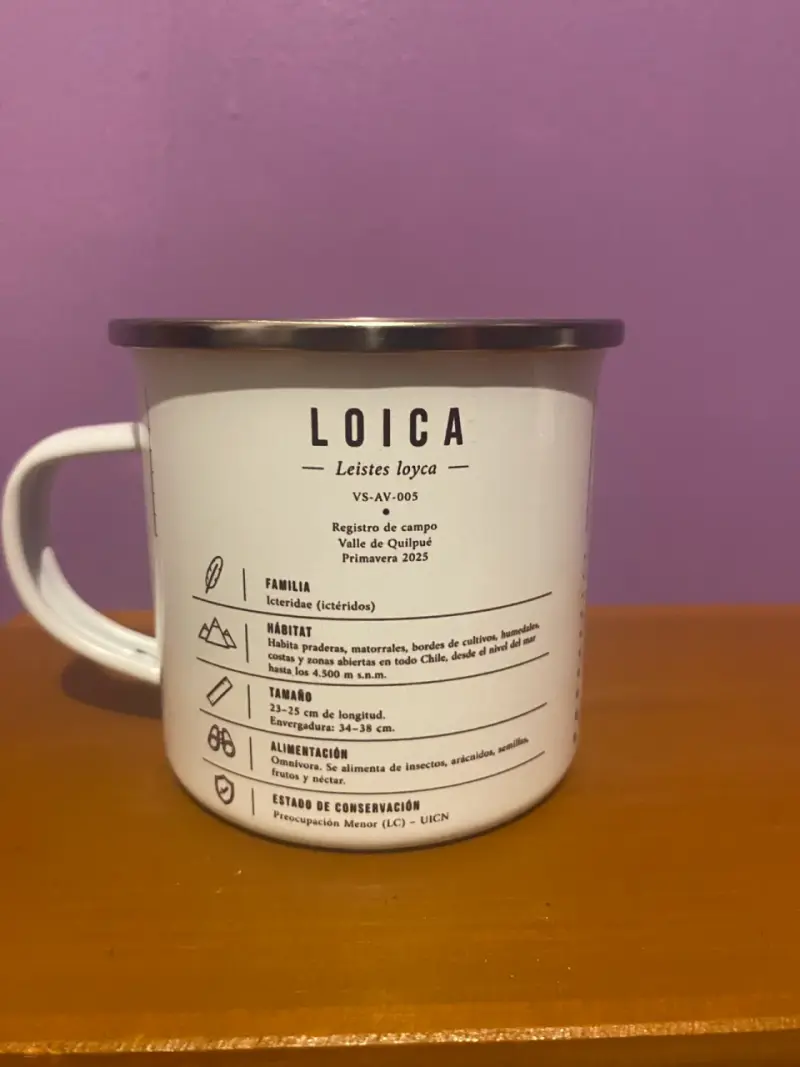 Tazon esmaltado con diseño de Loica - 2