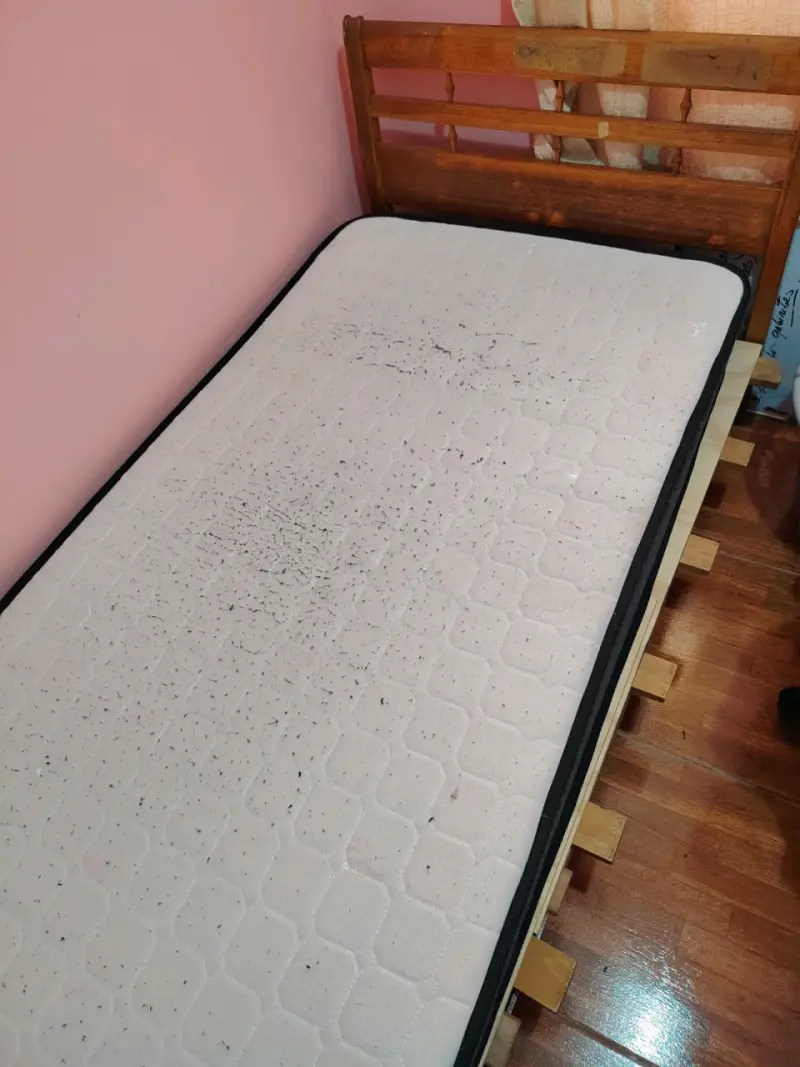 Colchón y cama tamaño mediano usado - 4