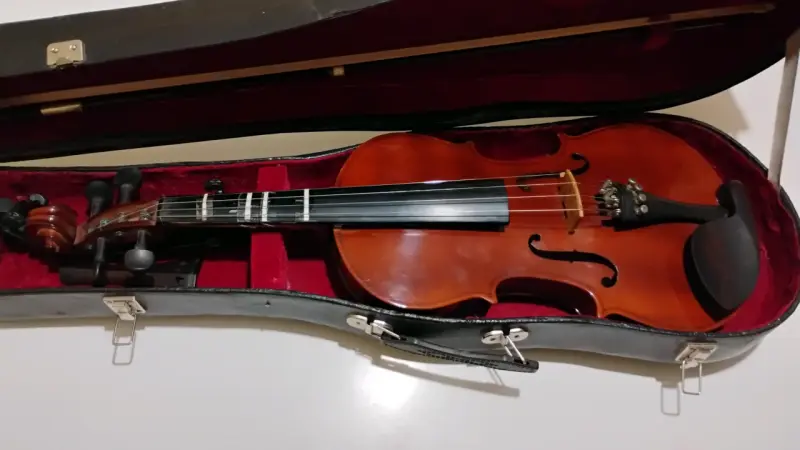 Violín con estuche rigido - 1
