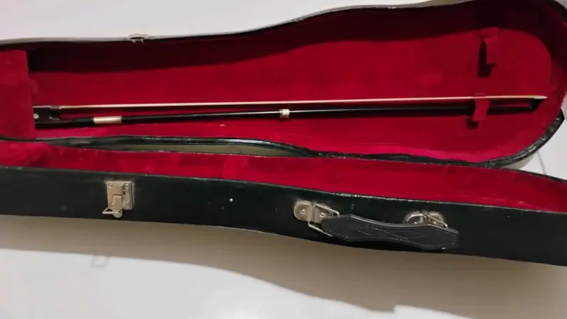Violín con estuche rigido - 3