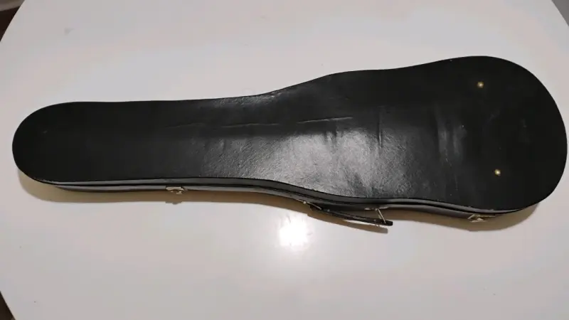 Violín con estuche rigido - 5