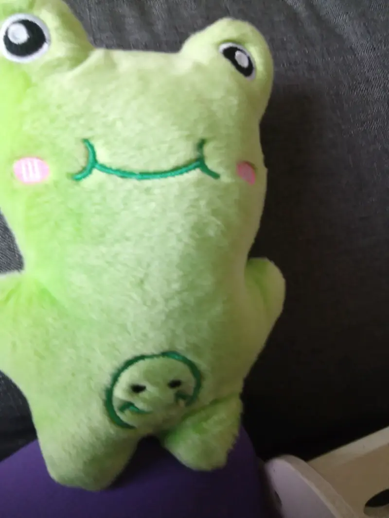 Peluche rana verde - 5