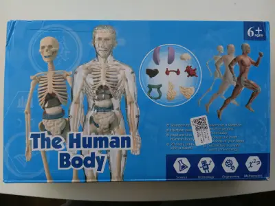 Juego educativo Biología cuerpo humano Didáctico - miniatura 1