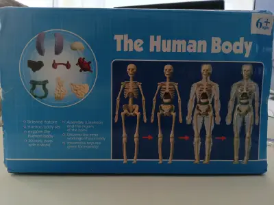 Juego educativo Biología cuerpo humano Didáctico - miniatura 2