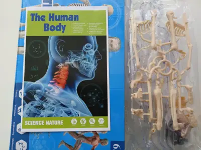 Juego educativo Biología cuerpo humano Didáctico - miniatura 3