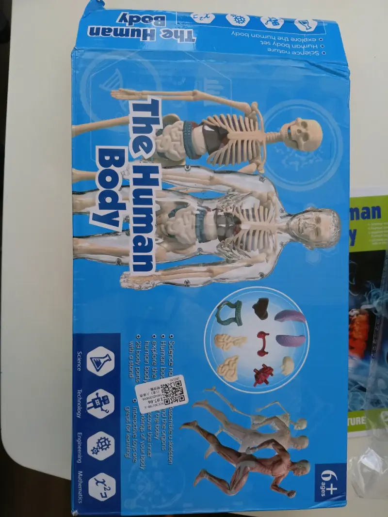 Juego educativo Biología cuerpo humano Didáctico - 4