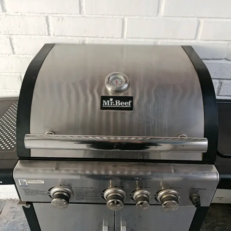 Parrilla a gas Mr. Beef - 1