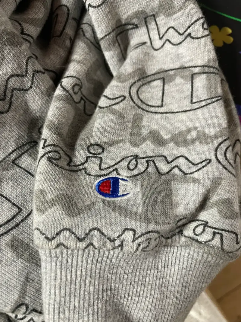 Polerón con capucha gris Champion - 2