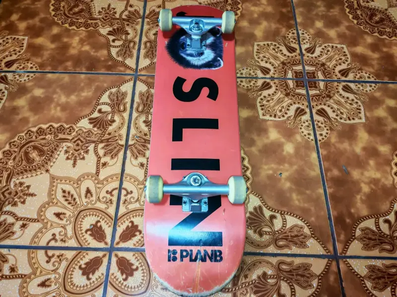 Skateboard de diseño urbano parineta - 3