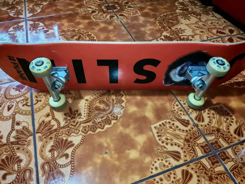 Skateboard de diseño urbano parineta - 4