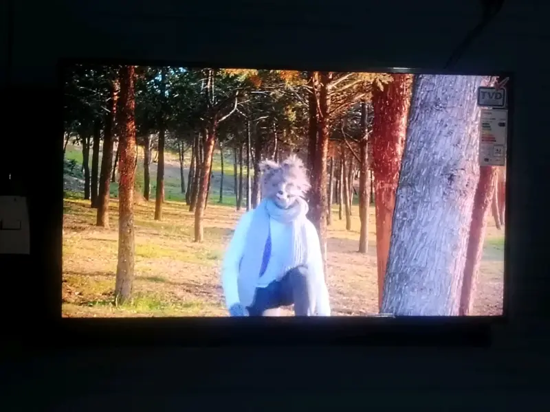 Televisor smart 43 pulgadas HD - 1