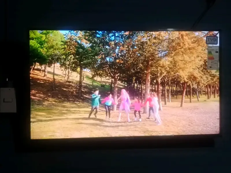 Televisor smart 43 pulgadas HD - 2