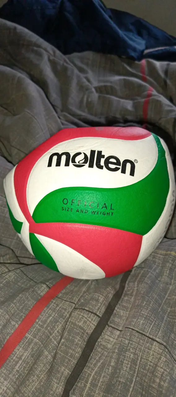 Pelota de voleibol Molten - 1